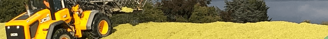 Cover Image for The Perfect Triangle