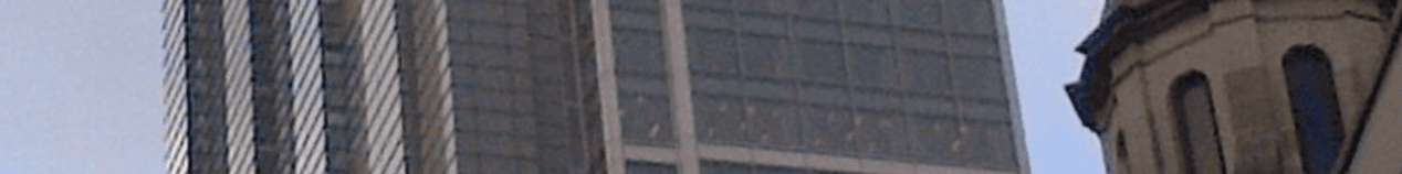 Cover Image for Catalans